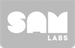 SAMLabs Logo grey